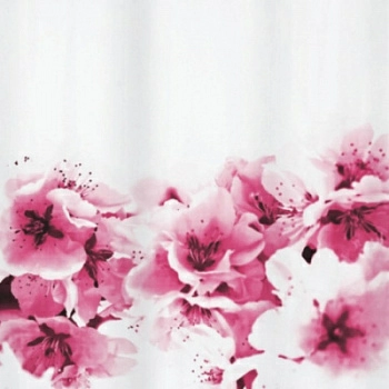 Полноразмерное изображение Полноразмерное изображение