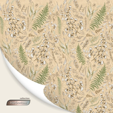 Кофр для хранения Hausmann Herbarium 60x50x36см фото 7